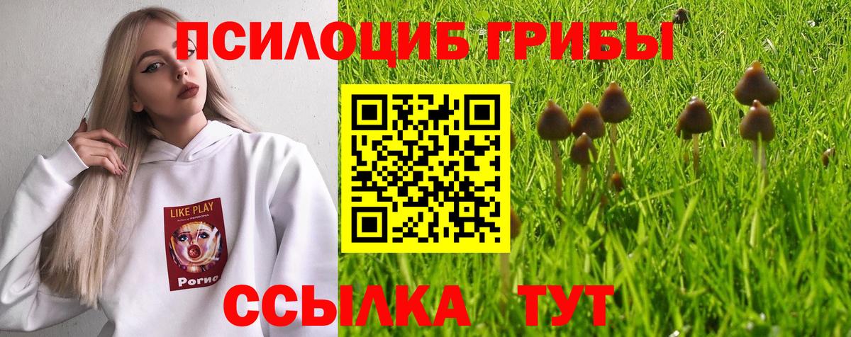Миллерово  Псилоцибиновые грибы мицелий  Вход с VPN  Галлюциногенные грибы ЛСД 